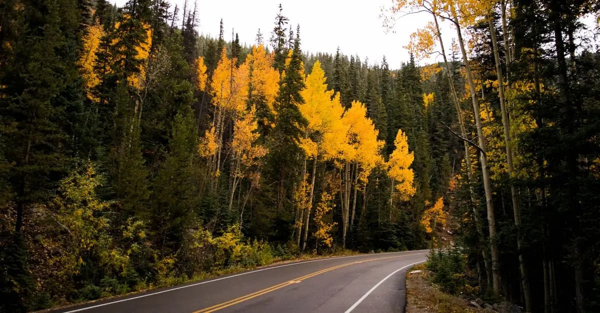 Les Routes Panoramiques Idéales pour un Voyage en Famille