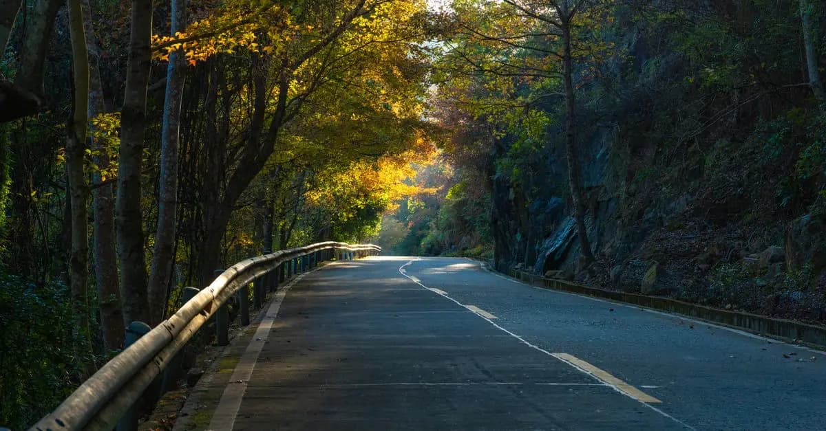 Road Trip Écologique : Réduire Son Empreinte Carbone