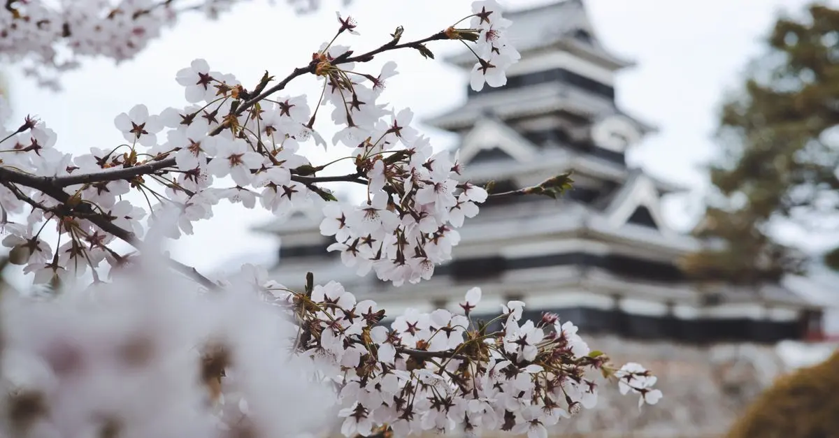 Japon : Découverte des Routes Panoramiques de l'Archipel