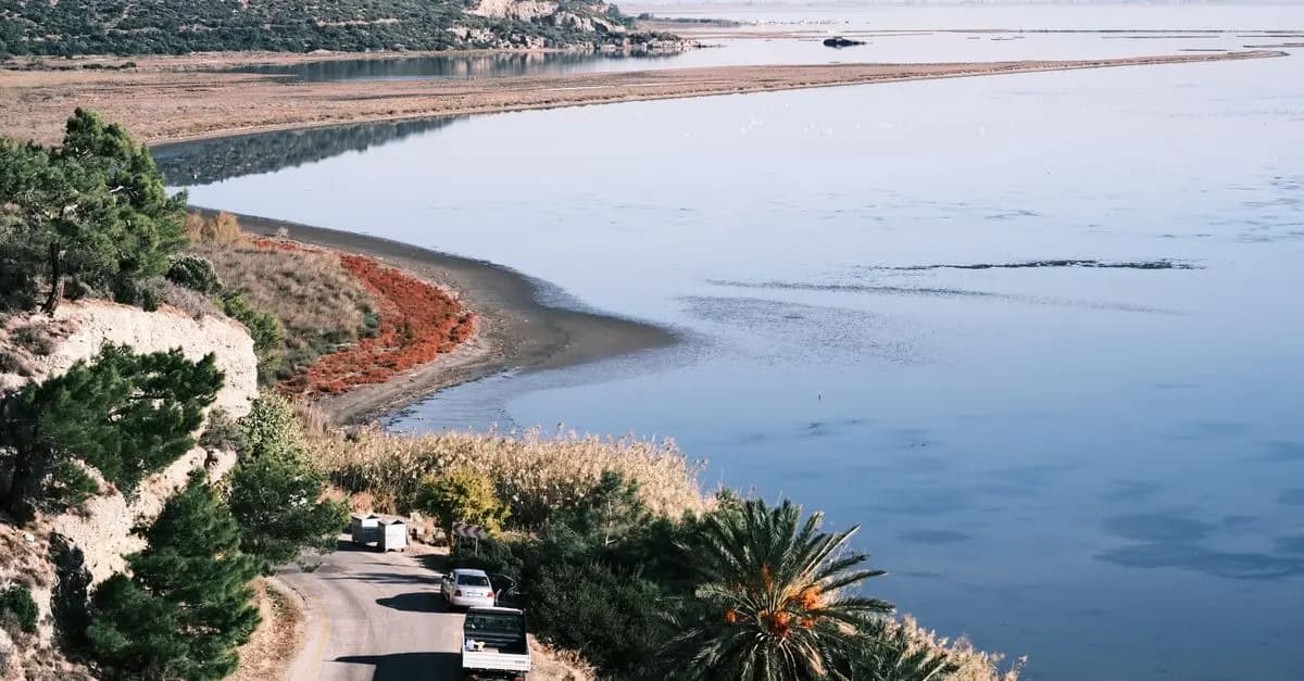 Comment Préparer Son Véhicule pour les Routes Panoramiques