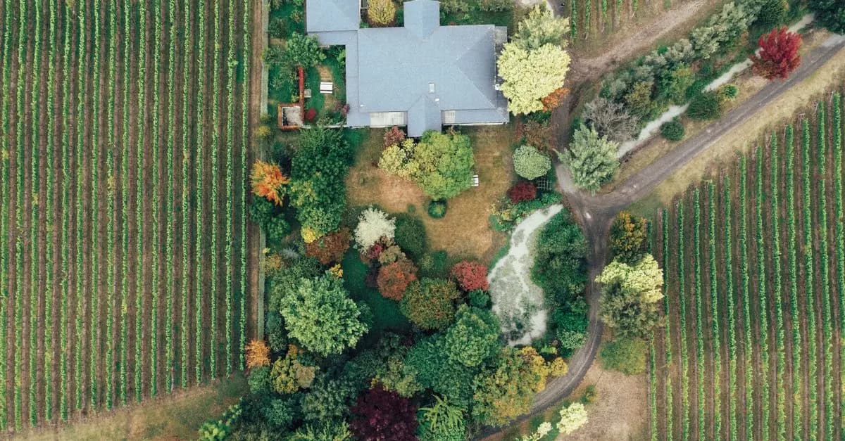 Une Journée sur la Route des Vins d'Alsace