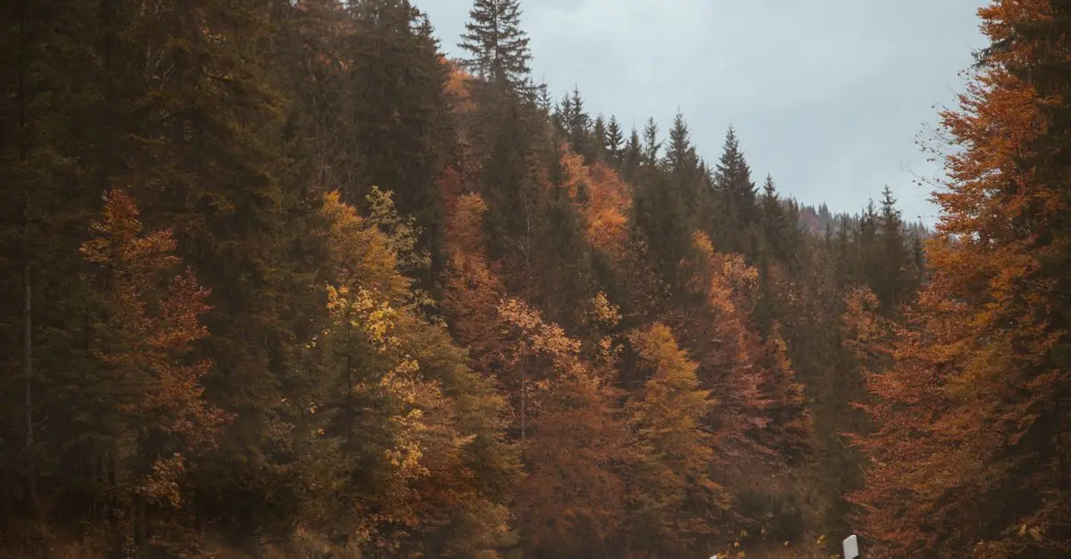 Carte des Routes Panoramiques à Ne Pas Manquer en Europe
