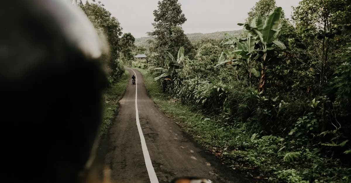 Sérénité et Panoramas : Les Belles Routes Zen