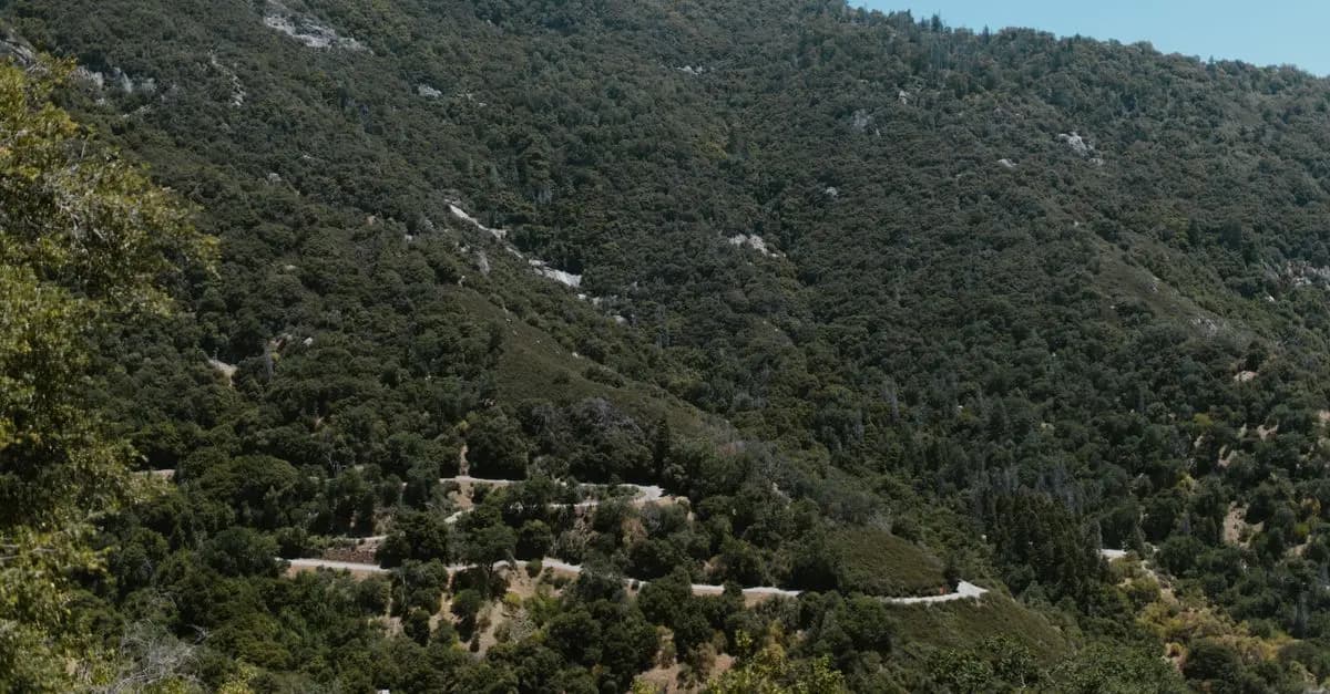 Les Meilleures Routes Panoramiques à Explorer en Famille
