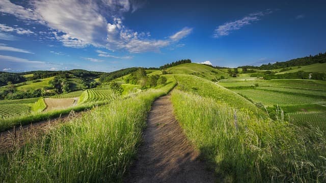 Les Plus Belles Routes Panoramiques à Explorer en France