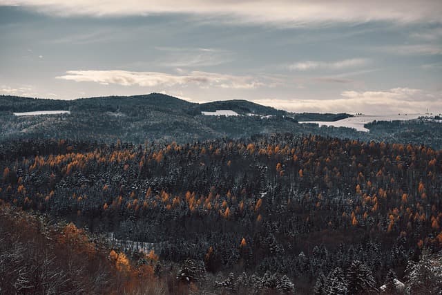 Les Routes Panoramiques à Explorer en France